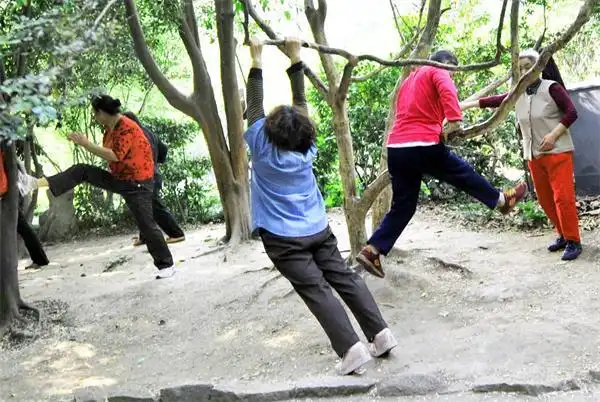 听说鲁迅公园有老人爬铁门的不文明现象,他便凌晨三点来到门口蹲守