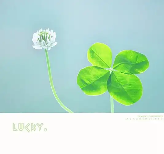 代表幸运的三叶草,四叶草唯美美图图片