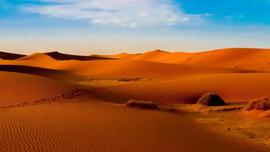 dune,sand,sahara,morocco,orange,壁纸,高清壁纸自然,风景,沙漠,沙丘
