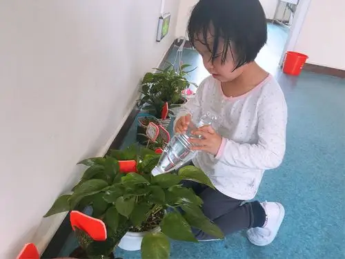 用我们自制的"浇水壶"来给小花浇水,成就感满满的
