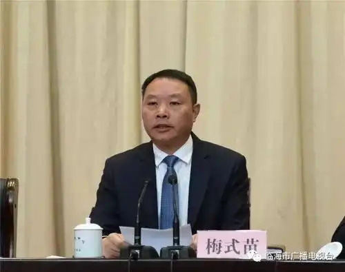 台州市委常委,组织部长,临海市委书记蔡