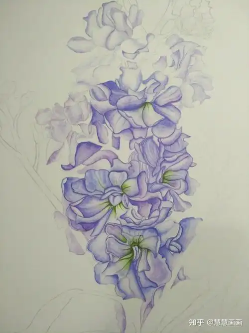 零基础水彩紫罗兰:第二幅完工的水彩画