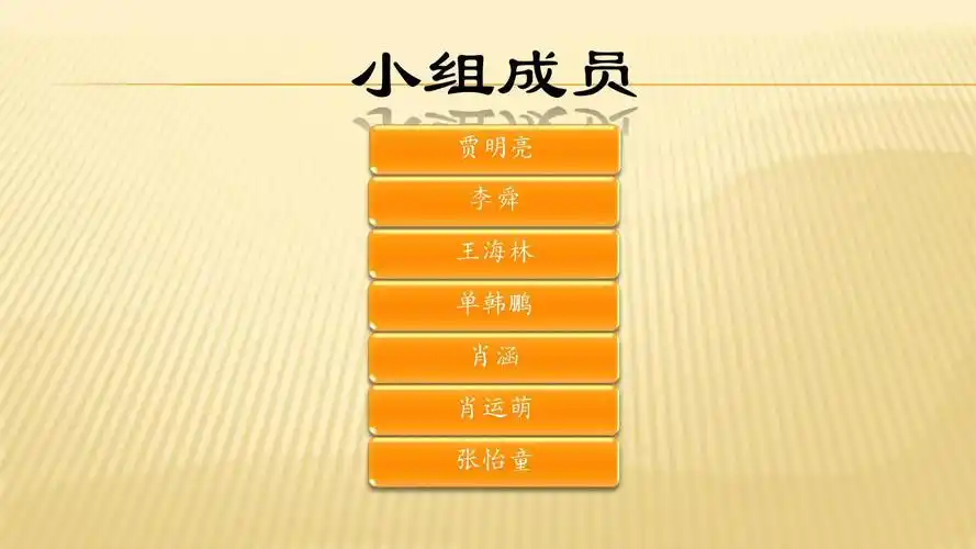 小组成员 贾明亮 李舜 王海林 单韩鹏 肖涵 肖运萌 张怡童