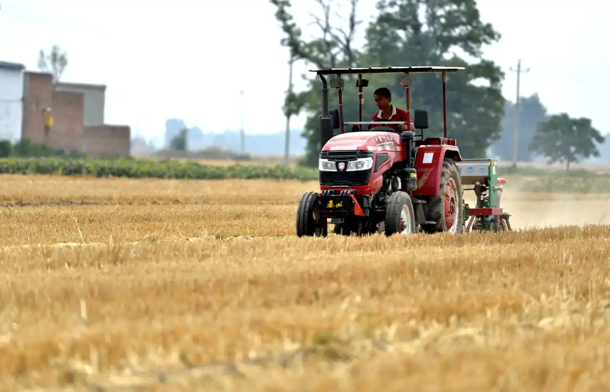 一个传统农业县的脱贫之路——来自河北新河的调查报告
