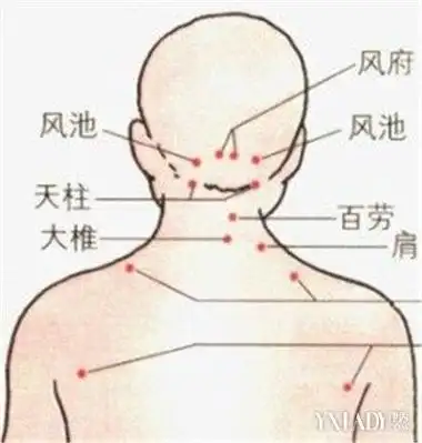 【图】肩颈部穴位详解 教你按摩五个穴位缓解肩颈僵硬疼痛