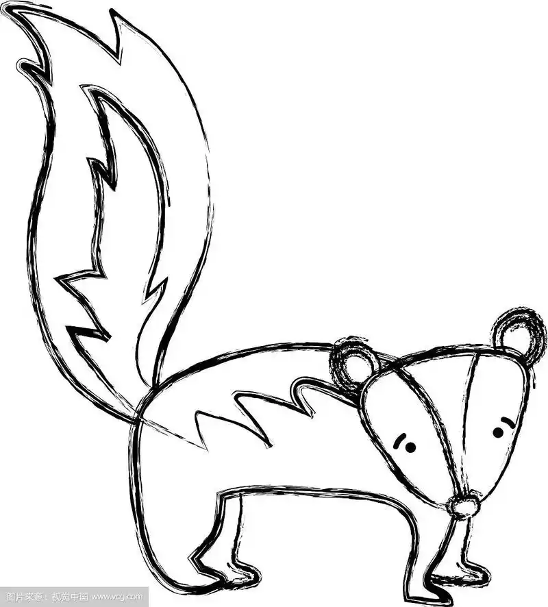 垃圾摇滚可爱而悲伤的臭鼬野生动物