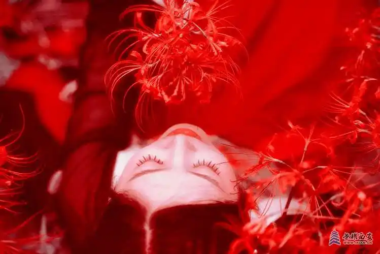 彼岸花古风人像创作