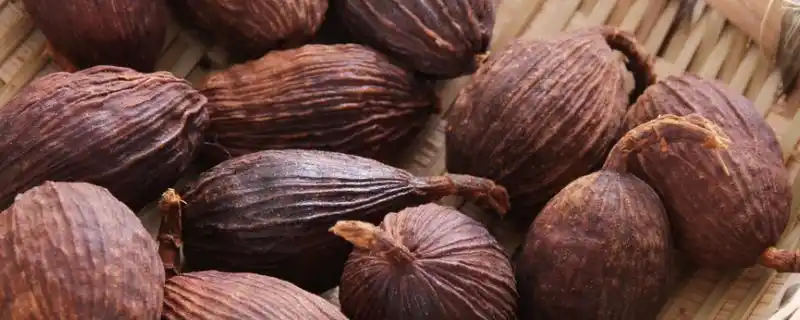 一,草果的产地分布草果的产地分布位于云南,广西,贵州,四川南部,广东