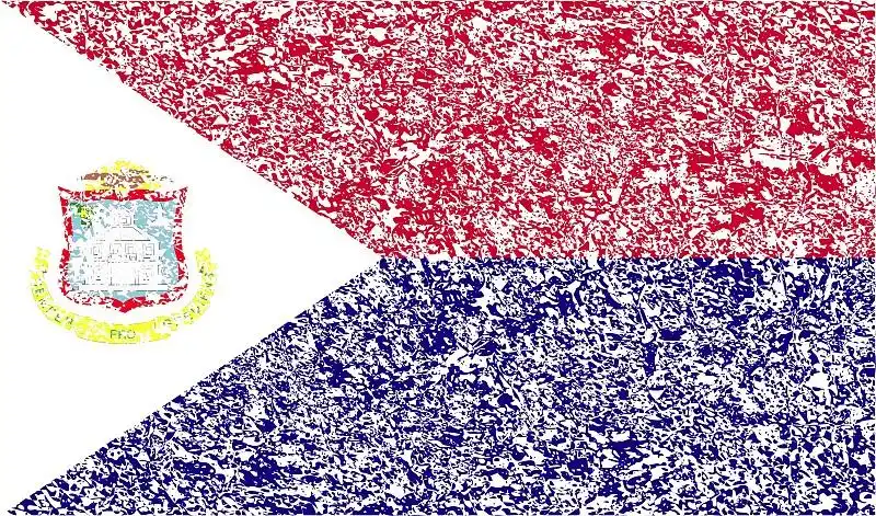 带有旧纹理的圣马丁旗图片