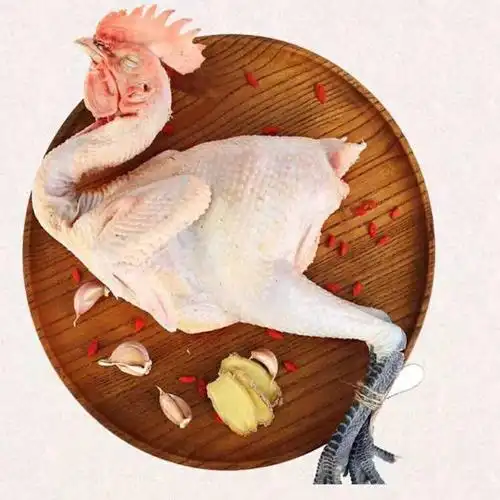 【现杀现发】散养黑腿大公鸡笨鸡土鸡草鸡柴鸡跑山鸡走地鸡