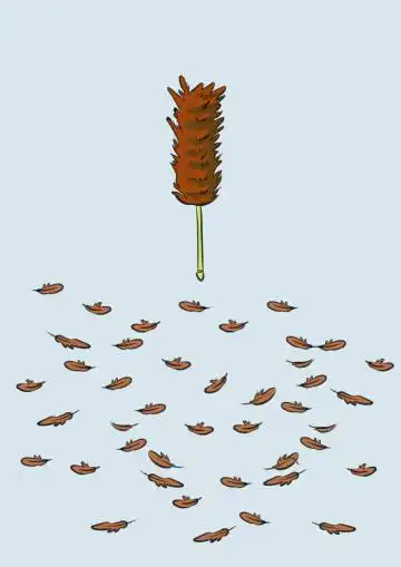 这个鸡毛掸子也抖不完的人生百味!必定是. 来自-秋水微澜- - 微博