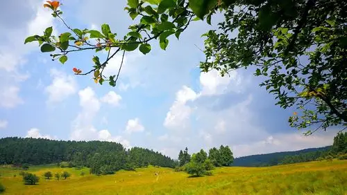 7.23～24仙女山 武隆天坑