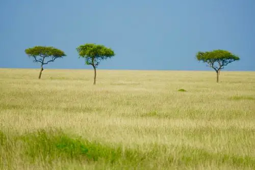 走入非洲(三) - 美篇