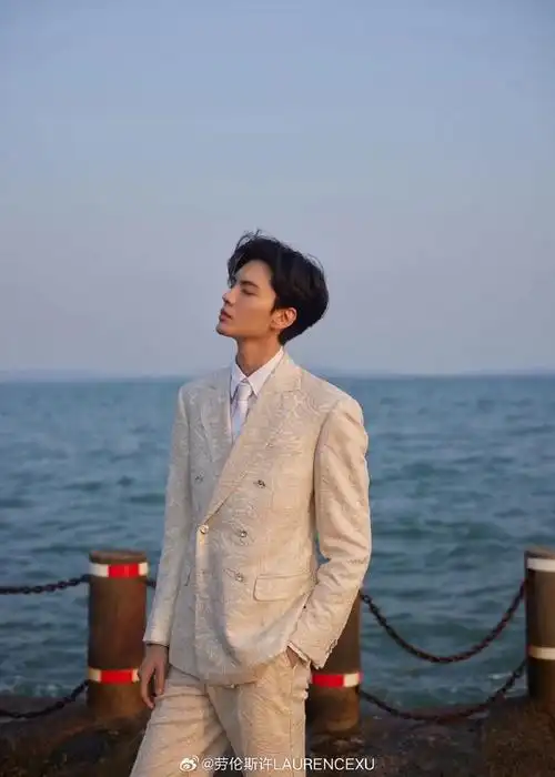 金鸡奖闭幕红毯##劳伦斯·许laurence·xu##毕雯珺