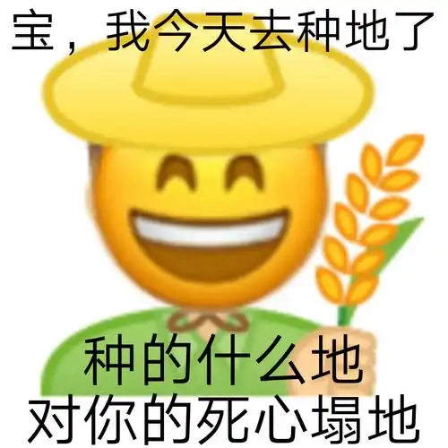 宝,我今天去种地了种的什么地对你的死心塌地