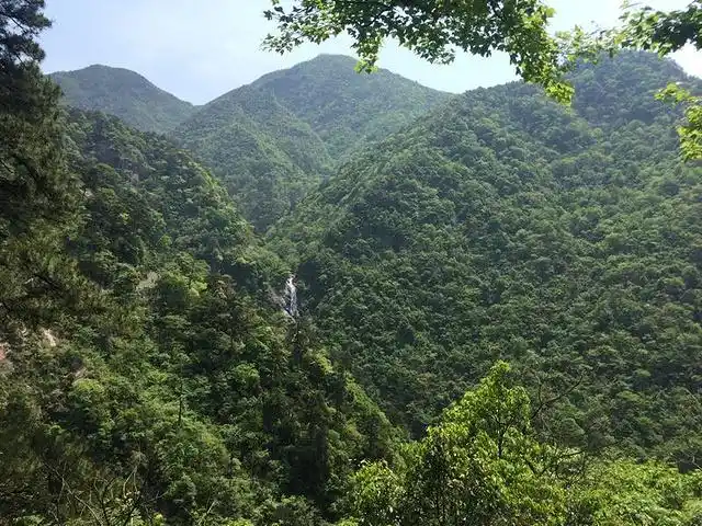 "_东天目山景区"的评论图片