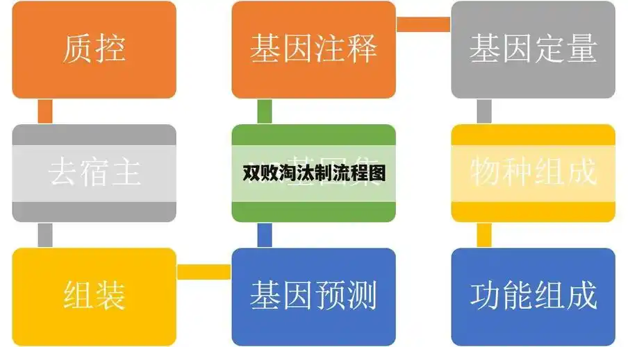 「双败淘汰制」双败淘汰制流程图