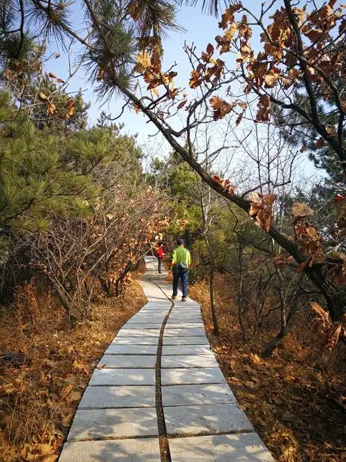 11.5棋盘山徒步大洋山