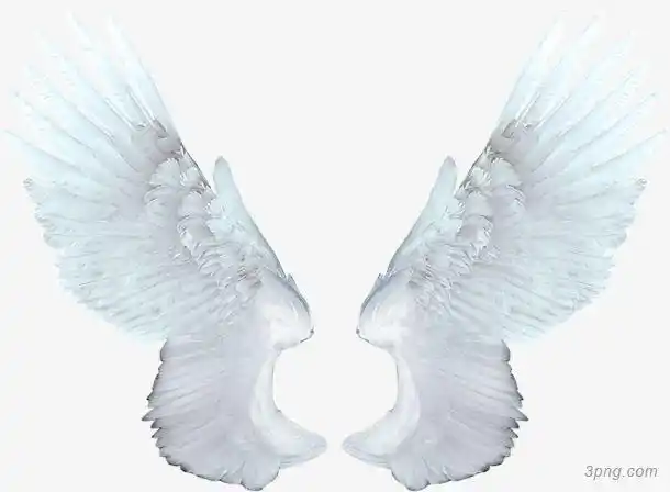 白色的天使翅膀png素材透明免抠图片-其他元素