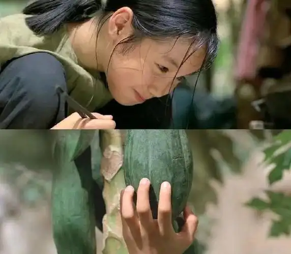 《青木瓜之味》如果你心情不好,一定要去看这部超有能量的电影