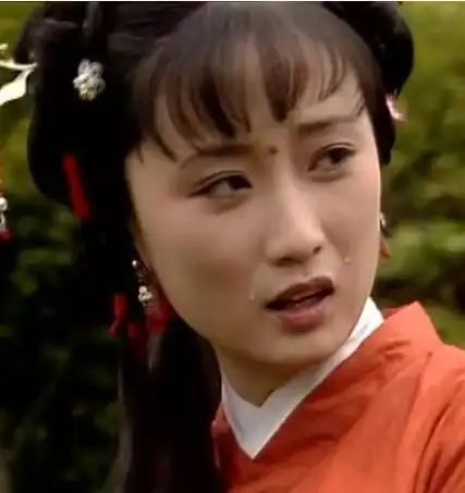 甄英莲-甄士隐的女儿-历史记