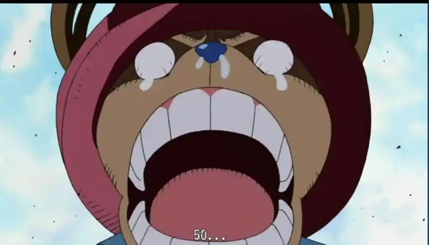 此刻乔巴的内心是崩溃的