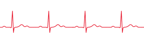 24小时动态心电图,与您时刻"心芯相系".