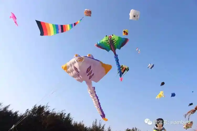 泰国海滩鲸鱼恐龙小怪兽飞上天国际风筝节好魔幻