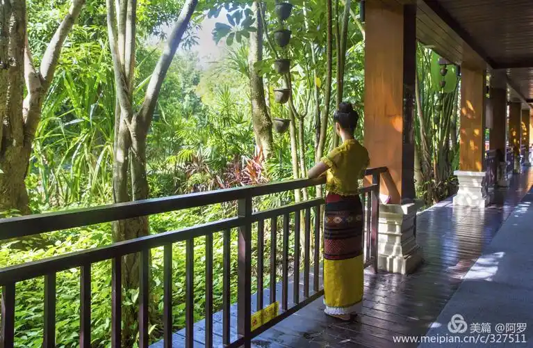 两旁的热带植物,生机勃勃,郁郁葱葱,偶遇美丽的傣族姑娘,窈窕的背影