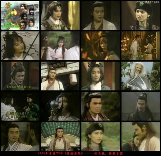 p>《箭侠恩仇》是杨锦泉执导,林文龙 ,洪欣,曹众主演的古装武侠剧,该