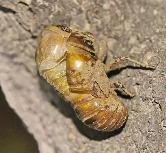 原图欣赏-太平洋摄影部落