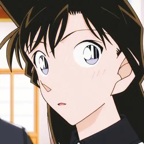 名侦探柯南小兰头像