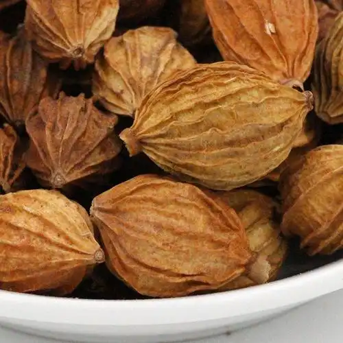 供应同心堂批发炖肉卤料香料香砂金砂仁川砂仁