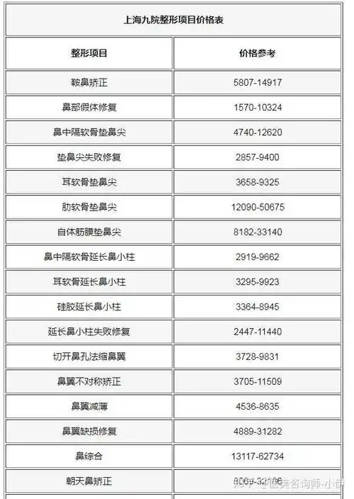 这是2020上海九院隆鼻价格表,价格有一定浮动,仅供参考