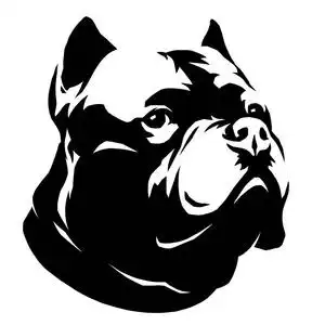 黑白直线画画狗插图照片