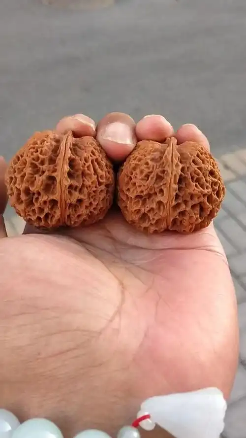 精品闷尖铁狮子头 #中华文玩 #文玩铁核桃 #文玩核桃 #云南野生老铁 #