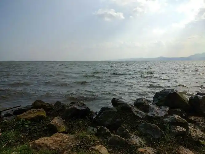 马屎洲特别地区