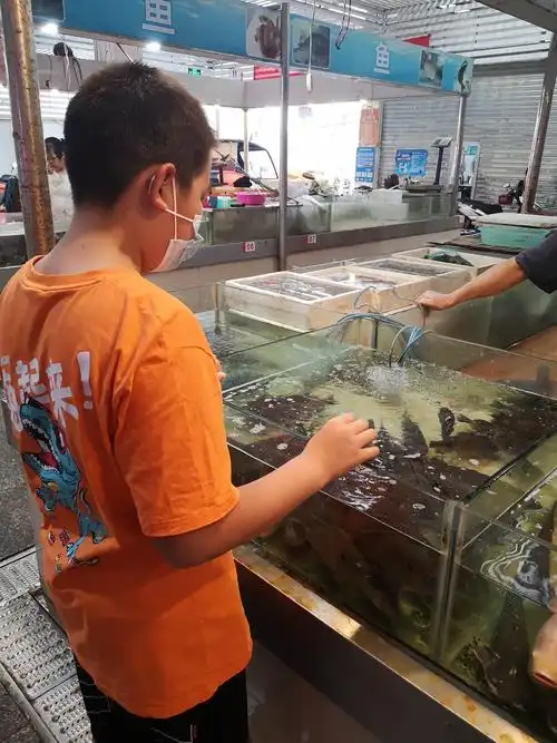 一早去市场买鱼