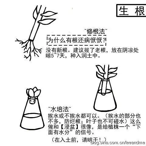 h┥采集到花世界