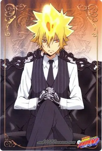 展开全部 出自家庭教师reborn 人物为 彭格列初代 也叫彭格列Ⅰ