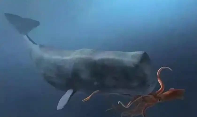 海滩散步发现怪石