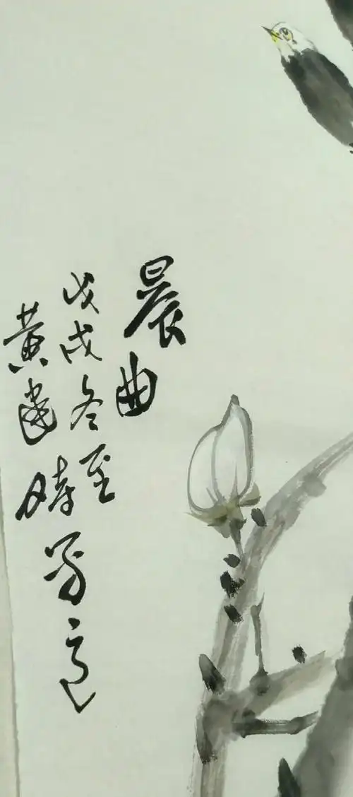 黄建时老师花鸟画教授录一一1.玉兰花 2.牡丹