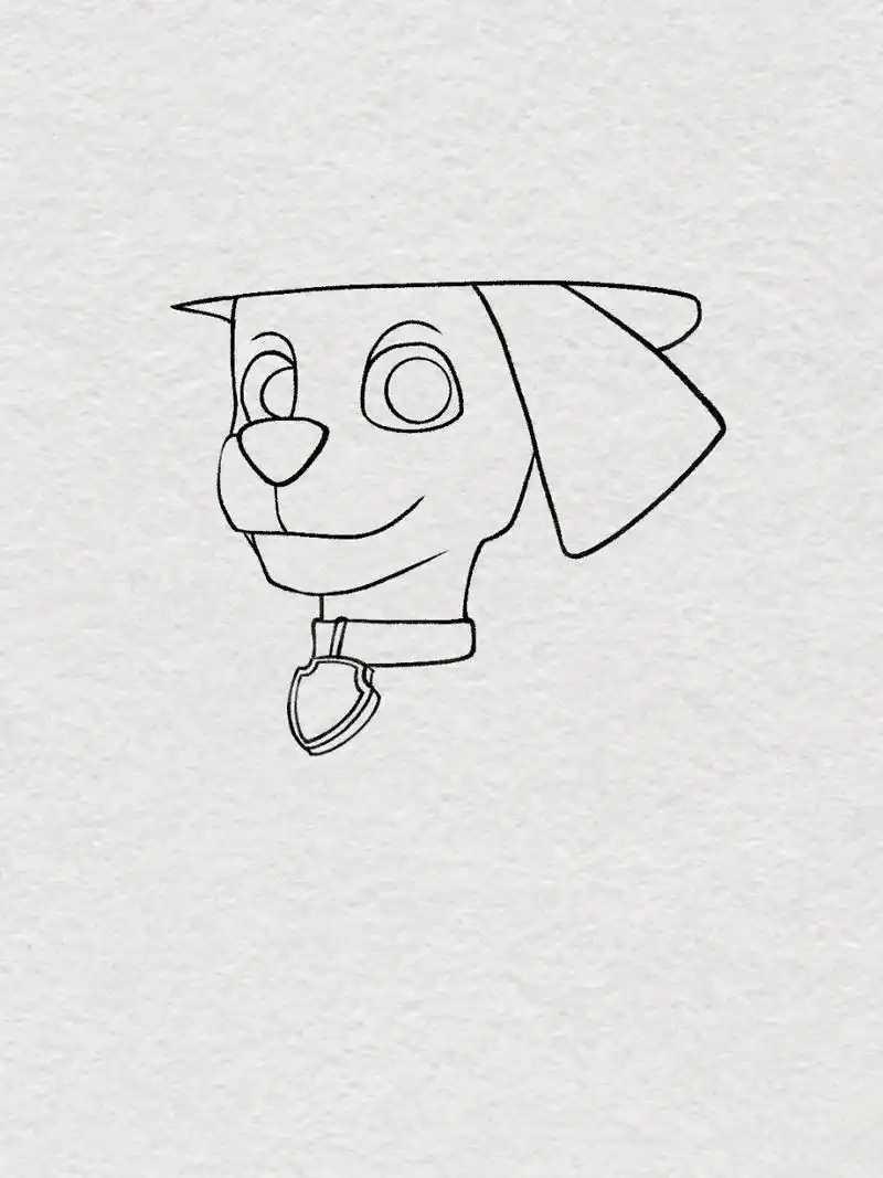 大家催更的汪汪队-毛毛来了