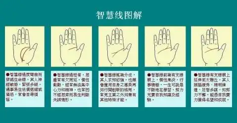 智慧线,头脑线,智力线图解 - lgx_6699 - wode《世外桃源》blog