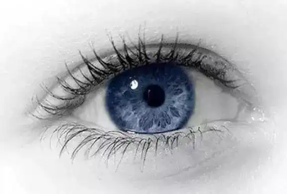 眼睑内翻的修复与治疗