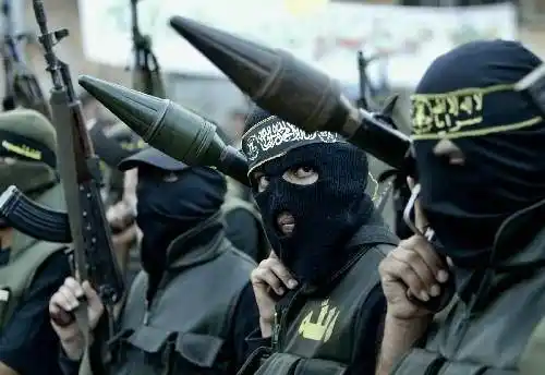 美媒称美曾秘密训练极端组织成员