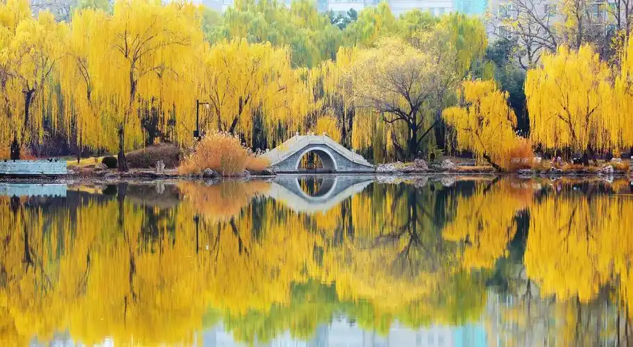 原来水面倒影这么好看,分享美景