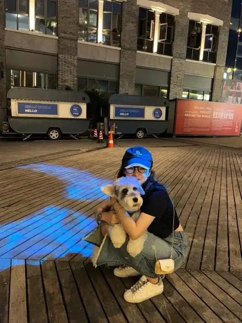 每天问李昂一万遍