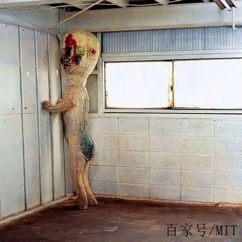 scp里的吉祥物——173(小花生)