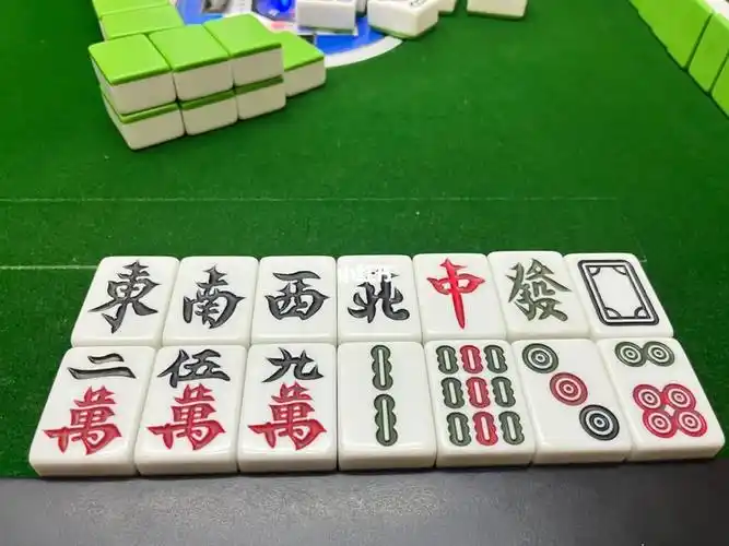 德国七星十三烂庄自摸#南昌麻将查看更多评论笔记作者纳